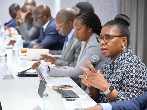 Meeting between the ECA and the Government of Botswana - January 2025
