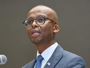 Meeting between the ECA and the Government of Botswana - January 2025