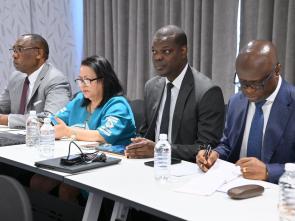 Meeting between the ECA and the Government of Botswana - January 2025