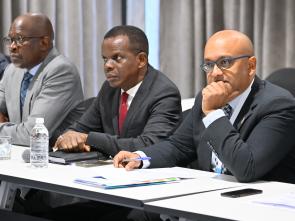 Meeting between the ECA and the Government of Botswana - January 2025