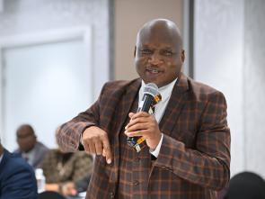 Meeting between the ECA and the Government of Botswana - January 2025