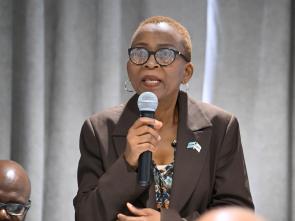 Meeting between the ECA and the Government of Botswana - January 2025