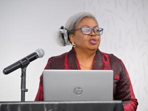 Meeting between the ECA and the Government of Botswana - January 2025