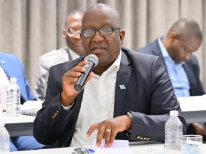 Meeting between the ECA and the Government of Botswana - January 2025