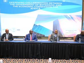 Meeting with Botswana’s Cabinet led by President Duma Boko