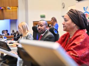 UN Food Systems Summit +4 Stocktake (UNFSS+4) - 28 July 2025