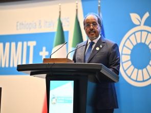 UN Food Systems Summit +4 Stocktake (UNFSS+4) - 28 July 2025
