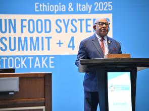 UN Food Systems Summit +4 Stocktake (UNFSS+4) - 28 July 2025