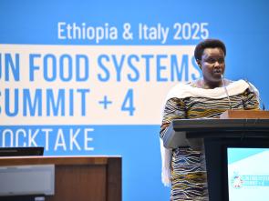 UN Food Systems Summit +4 Stocktake (UNFSS+4) - 28 July 2025