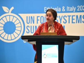 UN Food Systems Summit +4 Stocktake (UNFSS+4) - 28 July 2025