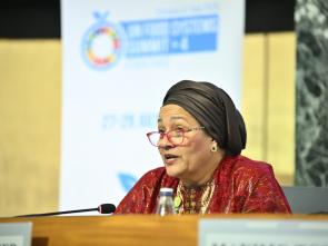 UN Food Systems Summit +4 Stocktake (UNFSS+4) - 28 July 2025