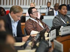 UN Food Systems Summit +4 Stocktake (UNFSS+4) - 28 July 2025