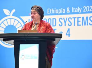 UN Food Systems Summit +4 Stocktake (UNFSS+4) - 28 July 2025