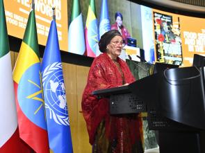 UN Food Systems Summit +4 Stocktake (UNFSS+4) - 28 July 2025