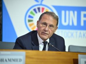 UN Food Systems Summit +4 Stocktake (UNFSS+4) - 28 July 2025
