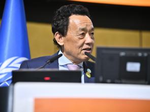 UN Food Systems Summit +4 Stocktake (UNFSS+4) - 28 July 2025