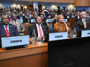 UN Food Systems Summit +4 Stocktake (UNFSS+4) - 29 July 2025