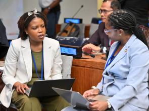 Forum politique de haut niveau sur le développement durable 2026 - HLPF2026