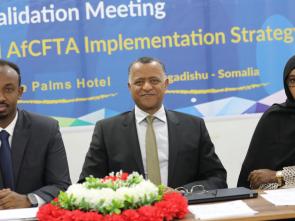Somalia embraces the AfCFTA, validates its National Strategy