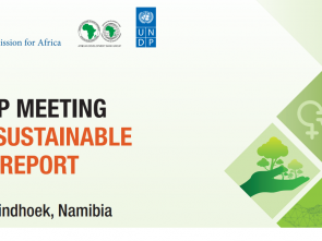 Expert Group assess Africa’s progress in meeting the Sustainable Development Goals and Agenda 2063