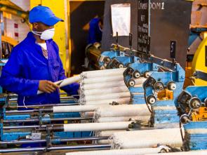 How ECA helped drive an economic diversification agenda in Central Africa in 2020