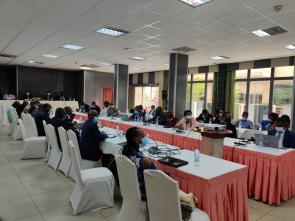 ECA supports Yaoundé in adopting a new economic resilience plan in light of COVID-19