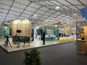 Namibia Minister launches Conference Outcome at COP27 Africa Day event