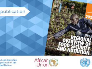New report finds fruit, vegetables, protein remain out of reach for most Africans