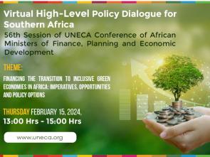 Southern Africa needs mindset change and homegrown solutions to achieve transition to inclusive green economies