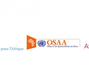 Avis aux Média - Journée de l'Afrique 2022 au Forum politique de haut niveau sur les objectifs de développement durable