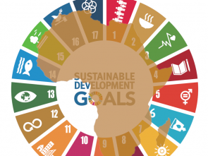 Les experts appellent à un recentrage sur les Objectifs de développement durable en Afrique