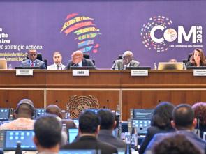 In Addis Ababa, experts review the state of economic and social development in Africa and progress towards regional integration