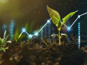 Driving structural transformation: ECA champions sustainable financing for Central Africa’s economic diversification