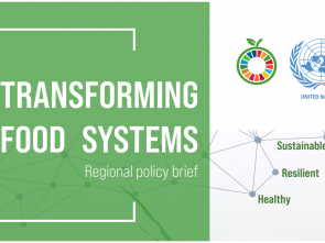 UN regional commissions launch policy brief on transforming food systems