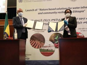 ECA, Government of Ethiopia launch Decade of Action with tree planting, green jobs, livelihoods and health at the center