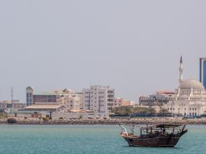 Djibouti maximizes the benefits of the AfCFTA for the private sector