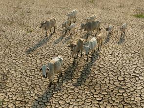 Vers une vision commune sur l’impact du changement climatique sur la sécurité humaine en Éthiopie