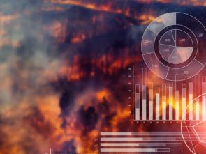 Fourth Global Expert Forum for Producers and Users of Disaster-Related Statistics