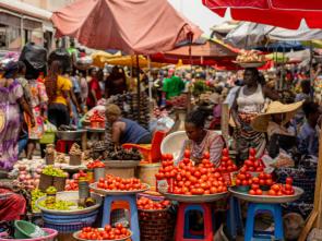 UN calls for stronger support to African SMEs and agricultural trade through sustainable trade facilitation measures