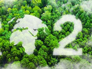7th African Regional Science, Technology, and Innovation Forum 2025: Catalyzing Innovation for Africa's Sustainable Future