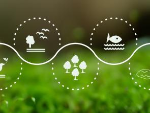 Armenia and ECA mark International Day for Biodiversity with a call for local action and global impact