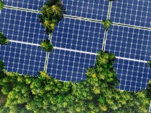 South African Stakeholders Review and Validate Recommendations towards Accelerating Green Industrialization in Southern Africa