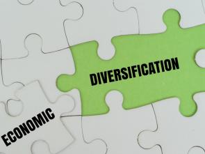Afrique centrale : des ambassadeurs de la diversification économique pour un nouveau récit de la transformation structurelle