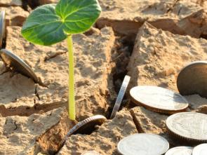 Climate finance: nearly US$3 trillion needed to implement Africa's NDCs