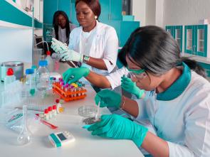 International Day of Women and Girls in Science, 11 February