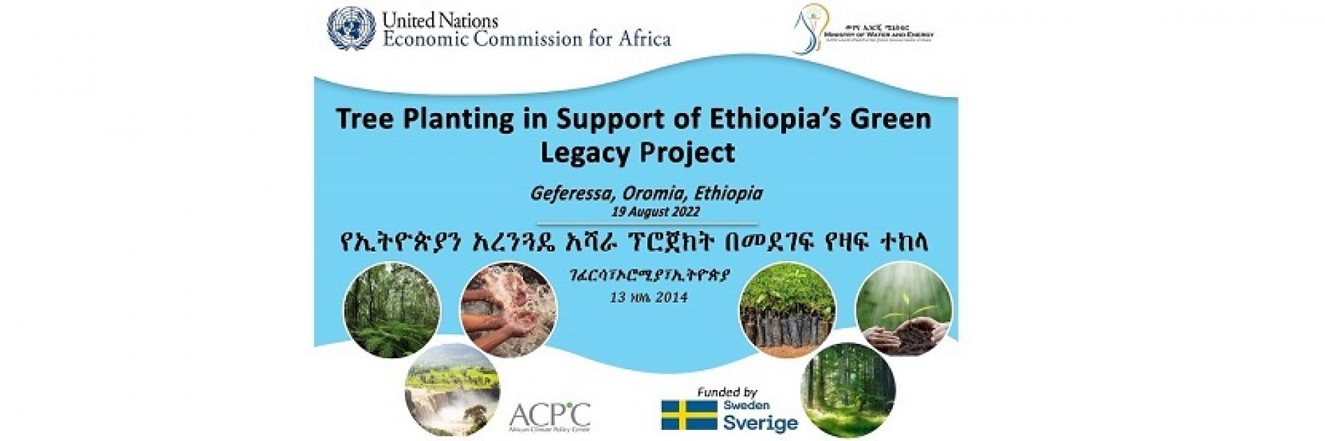 ECA and MoWE contribution to the 4th Round Green Legacy Program - (Tree planting)