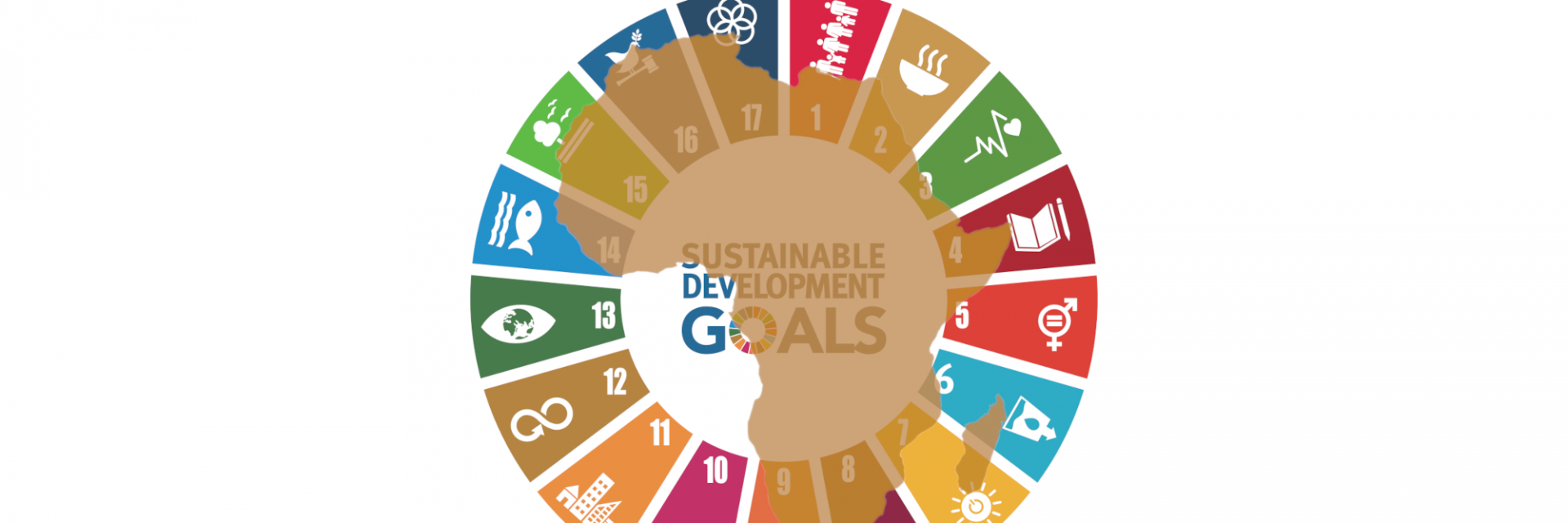 Experts call for renewed focus on sustainable development goals in Africa