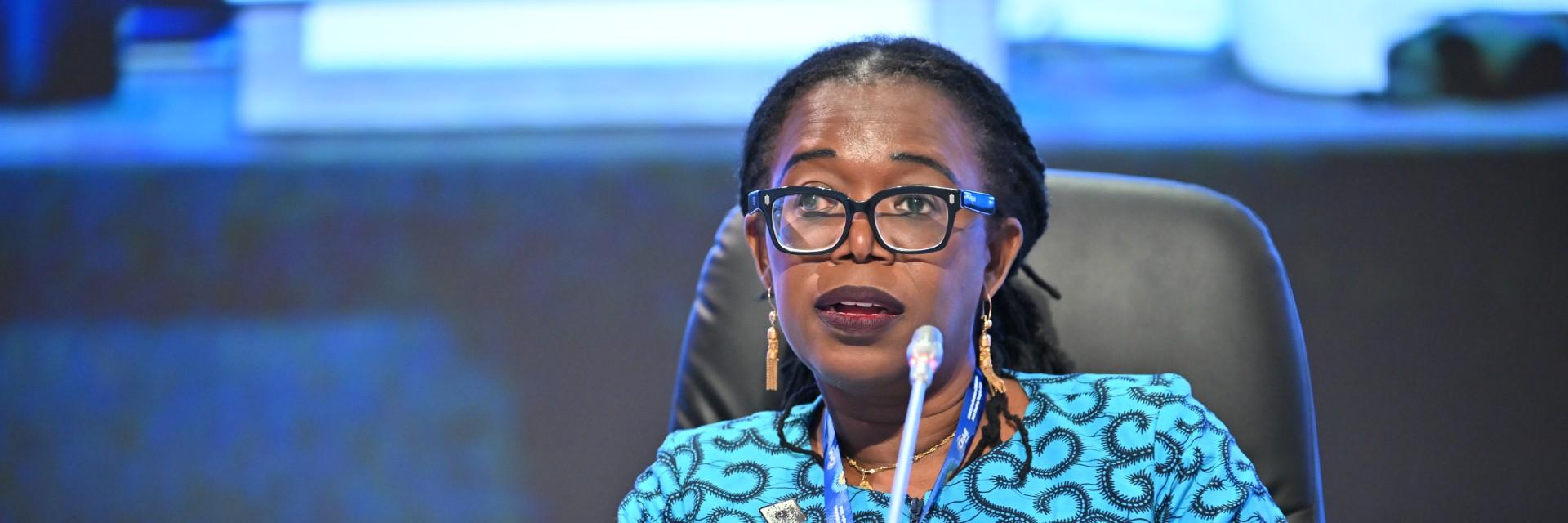 CoM 2026, Committee of Experts - Opening remarks by Deputy Executive Secretary Mama Keita