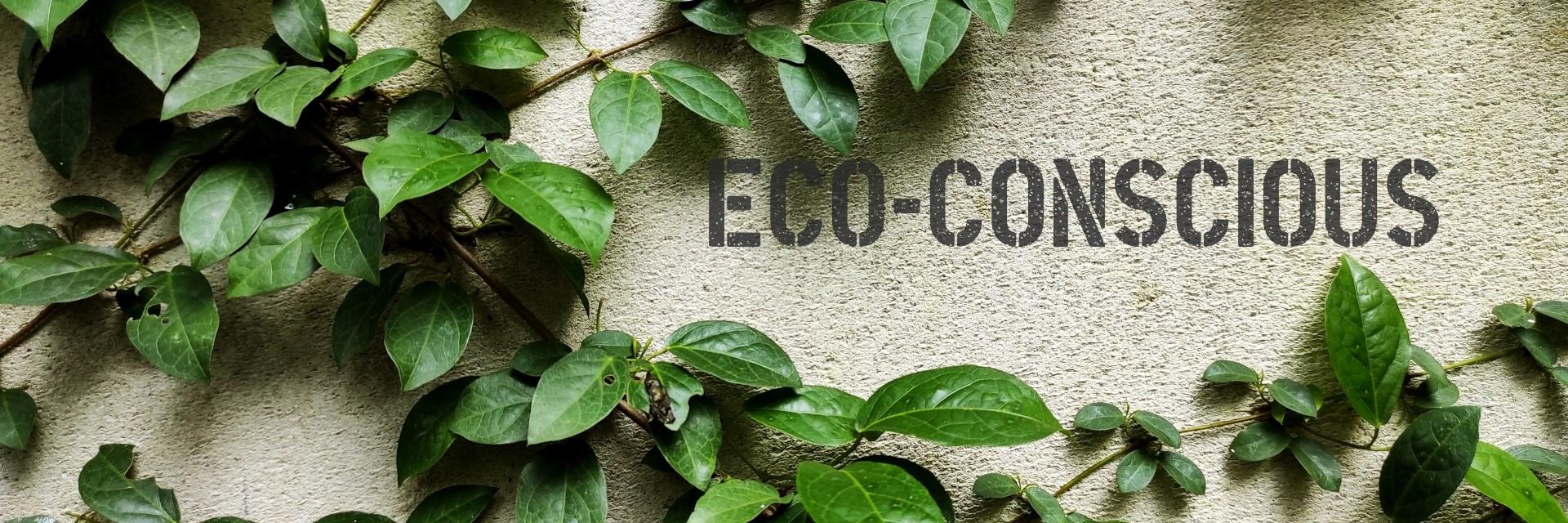 [Blog] One Size Fits None: How Africa is Redefining Sustainability Standards on Its Own Terms