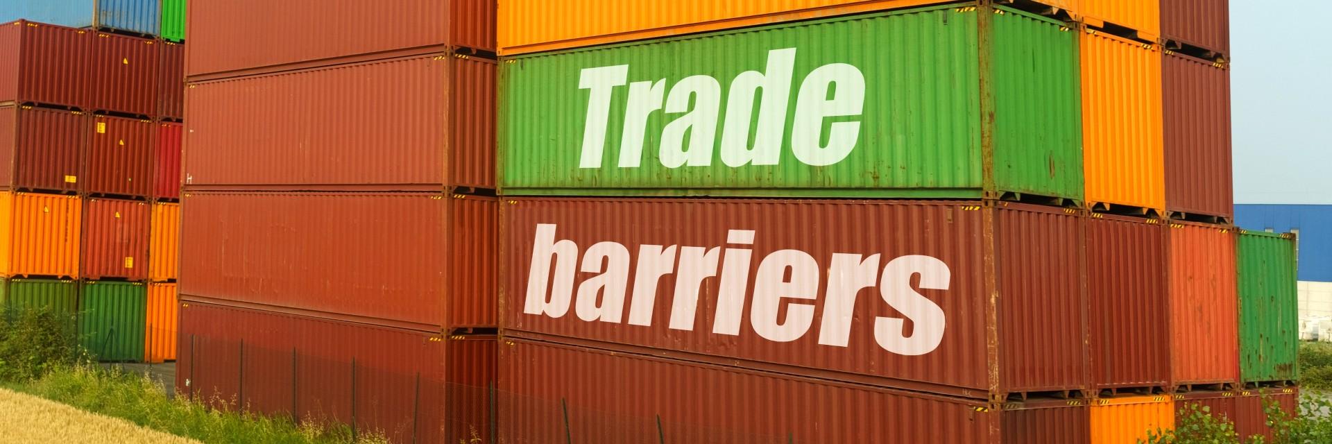 Mnangagwa calls for removal of trade barriers to unlock COMESA's US$1.23 trillion market